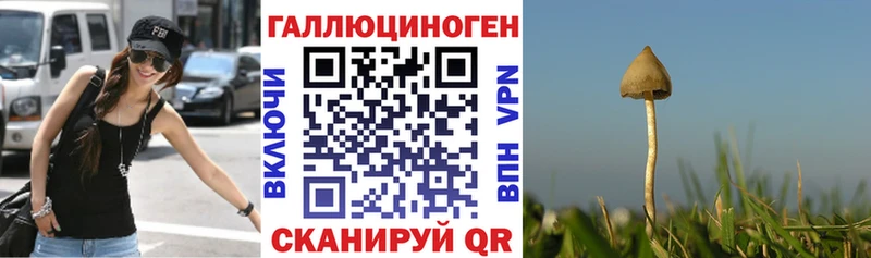 Псилоцибиновые грибы Psilocybe  хочу наркоту  Ковров 